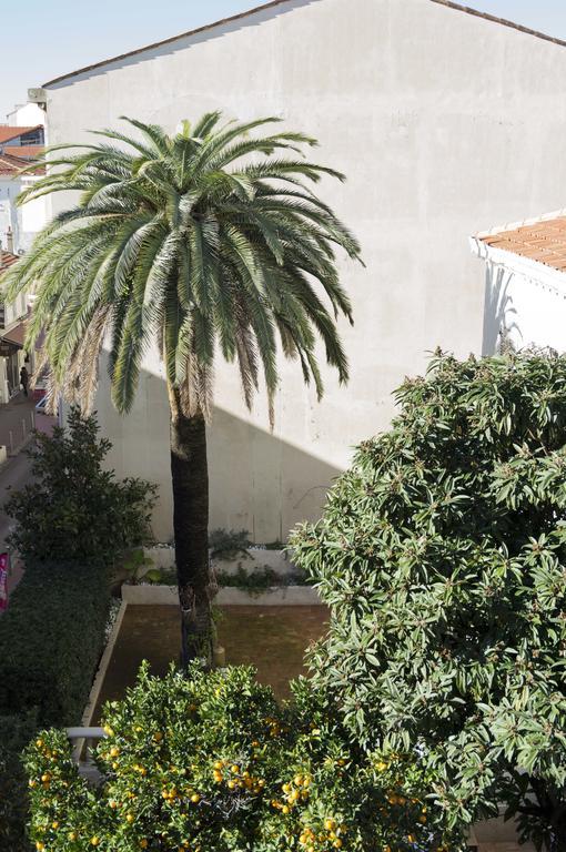 Appartement Cannes Rue Marceau الغرفة الصورة